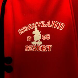 21” roller board carry on. Disneyland park purchase front zip pocket. Soft sided